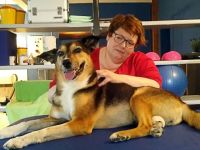 Schnauze, Fell & Pfoten