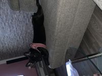 Bella, Leider müssen wir uns schweren Herzens von