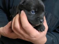 Pünktlich zum Start ins neue Jahr haben wir Kinder der