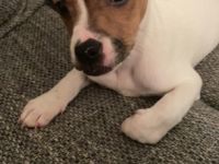 Hallo ihr lieben da draußen. Ich möchte Euch gerne