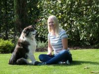 prima Hundetraining