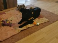 Hallo leider müssen wir uns aus persönlichen Gründen