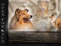 Red Caroline Casino Royal