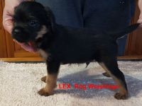 Wir freuen uns, Ihnen mitteilen zu können, dass am 20.