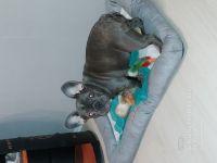 Hallo....wir müssen uns leider von unserer 5 Monate