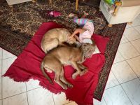 Hallo mein Name ist Jack. Ich bin am 16.10.2020 geboren