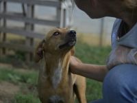 BERLIN- möchte immer und überall dabei sein