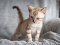 Dieser kleinen Snow-Prinzessin wünschen wir ein