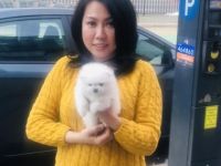 Wir suchen für unsere kleine Maus ein gutes neues