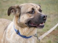 KRISZ, klug und sportlich