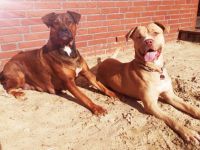 Hallo, wir sind am 6.2.2022 geboren und suchen ein