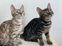 Hallo, es freut uns, dass wir Ihr Interesse geweckt