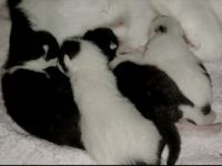 Bitte unbedingt bis zum Schluss lesen!! Hallo ihr