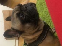 Cooper, Guten Tag ich verkaufe aus privaten Gründen