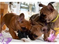 Es ist soweit, unsere sportliche, freiatmende