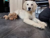 Hallo, unser kleiner Sonnenschein ist nun abgabebereit.