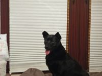 Hallo...... Mein Name ist Barkley