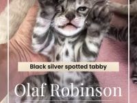 Auf der Suche nach einem liebevollen Platz ist nun