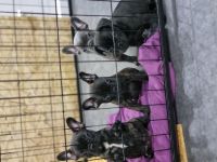 Endlich ist es soweit wir suchen nach einem neuen