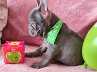 Hallöchen Unsere kleine, tapsige Bande ist bereit