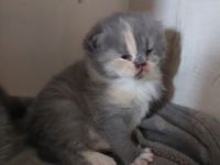 Die kleinen sind am 18.3. 22 geboren und ab dem 4.6.22