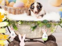 Update. Unsere Geschwister ziehen in 4 Wochen aus. Nur