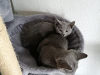 Jünge und Mädchen wurden am 01.01.22 gegen 22:00