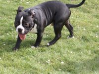 Schweren Herzens müssen wir uns auf Grund von Krankheit