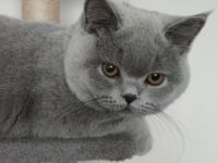 Wir müssen uns leider schweren Herzens von der kleinen