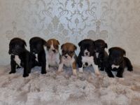 Guten Tag, Unsere OEB Dame hat am 18.03.22. 7