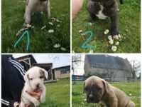 Am 11. März haben unsere kleinen Knutschkugeln das