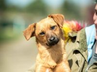 Picur Alter: ca. 5 Monate (Stand: 22.04.2022)