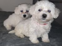 Huhu! Unsere Lieblinge haben Nachwuchs bekommen und