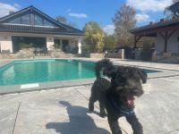 Cookie, Unser kleiner Mann ist am 19.09.2021 geboren.