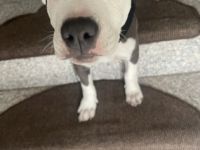 Bei weitere Fragen stehe ich gerne zur Verfügung