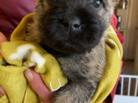 Wir (1R/5H) sind am 03.04.22 auf die Welt gepurzelt und