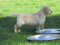 Unsere Rasselbande ist am 06.03.2021 geboren und dürfen