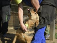 Pandora sucht Euren Halt