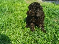 Hurra... Nun ist es endlich soweit unsere kleinen