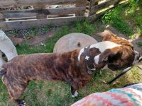 Ben, Ich suche auf diesem Weg aus Privaten Gründen ein