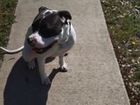 Wir müssen uns leider von unserer Kira aus