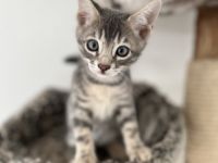 Von ariana Hildebrandt