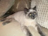 Hallo liebe Tierliebhaber, Am 27.04.2022 sind unsere