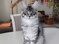 Linda, Sie können zusammen oder einzeln gehen, am