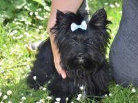 Black male with no tan, born 13.12.2021, small in size,