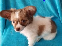 Sie wurden am 02.03.22 geboren und sind nun alt genug