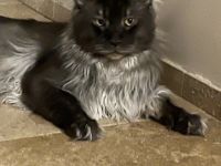 Hallo! Wir sind Vereins-Züchter und haben nun im Januar