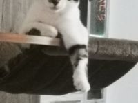 Schweren Herzens müssen wir uns von unserem 11 Monate