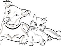 MiGo - was fehlt Deinem Tier?