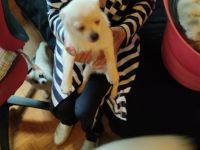 Wir sind jetzt fünf Monate alt. Wir sind Geimpft,